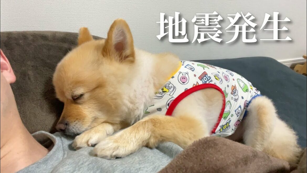 【地震発生】福島県沖地震発生の瞬間、3月16日、23時36分【宮城・福島で震度6強】