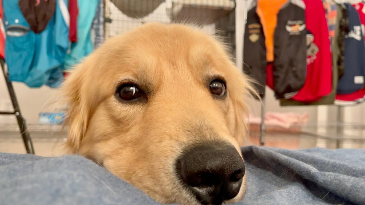 【昨夜の地震後】いつ何が起きてもおかしくない 【昨夜の地震後】いつ何が起きてもおかしくない