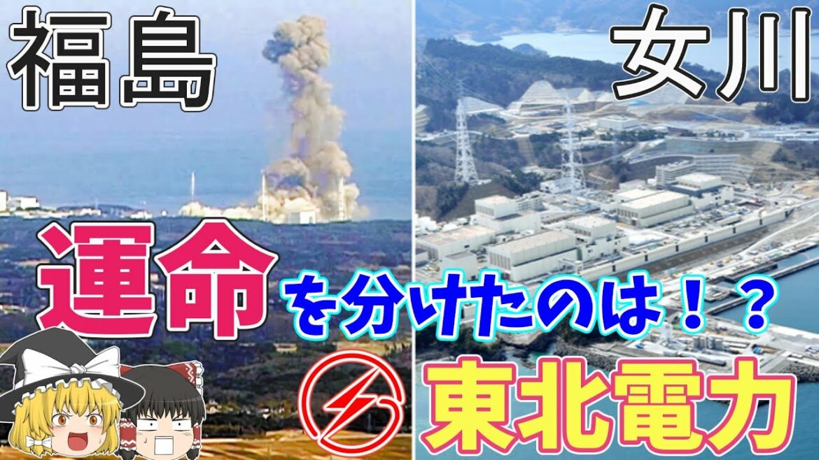 【東北電力】女川原発と福島第一原発、なぜ震災で差がついたのか【ゆっくり解説】【就活】