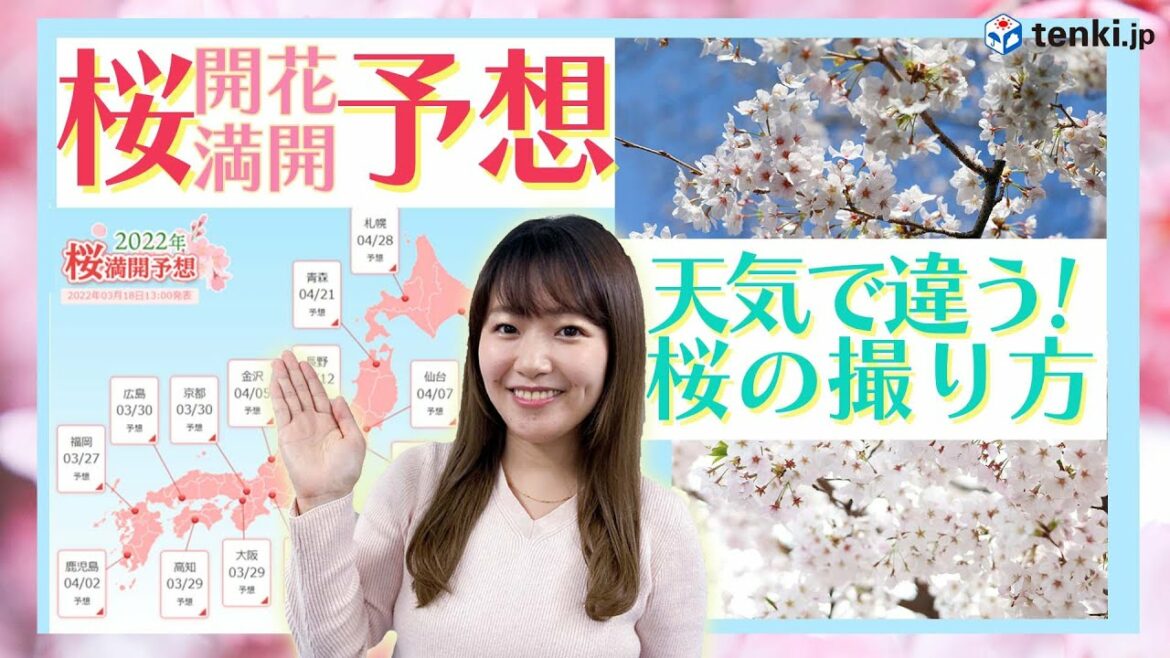 【桜開花・満開予想】開花ラッシュ！満開はいつ？写真はこう撮るべし!
