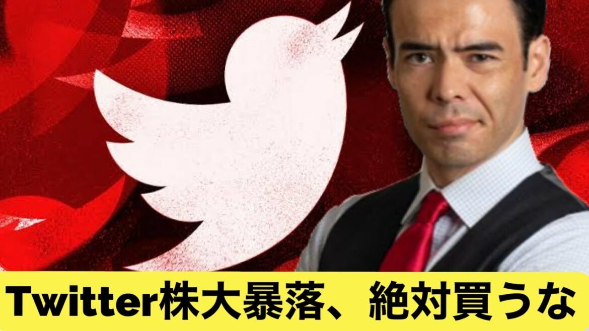 【絶対に買うな】ツイッター株の大暴落！
