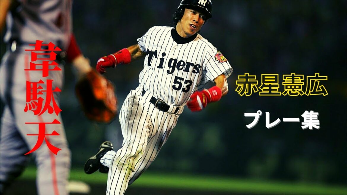【虎の韋駄天】赤星憲広プレー集【プロ野球】