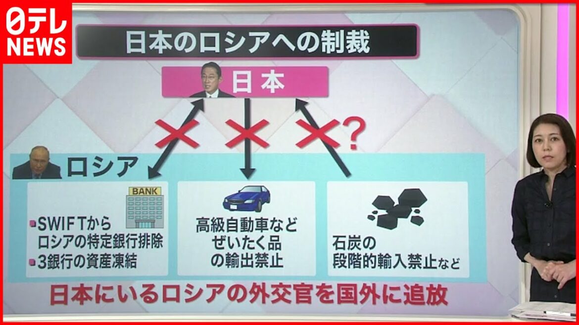 【解説】効果は？  政府  対ロシア追加制裁を発表