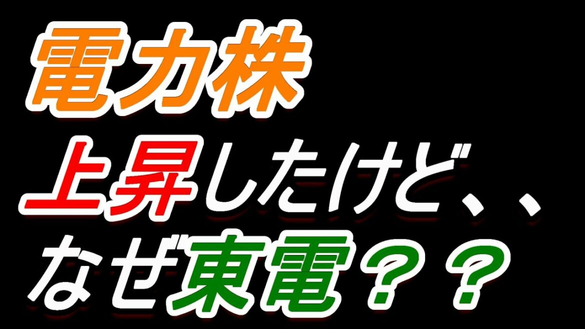 【電力株】上昇したけど、、、なぜ東電？【東電・中電・関電】