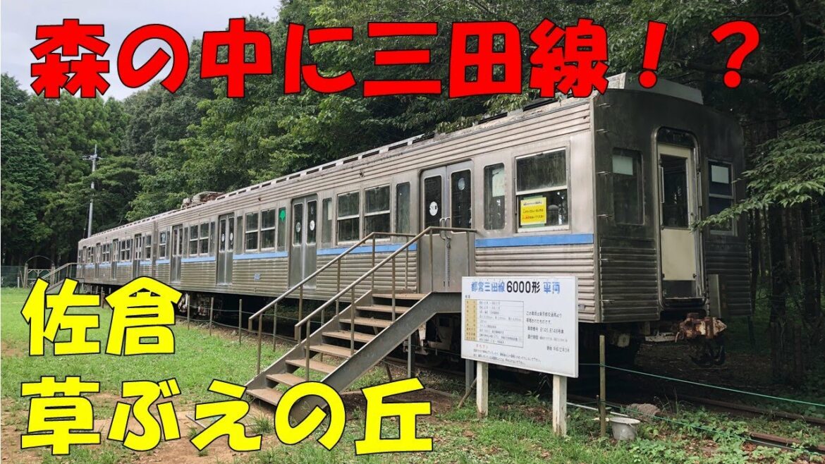 【静態保存】森の中にたたずむ都営地下鉄6000形！なぜか中間車両だけ【都営三田線】