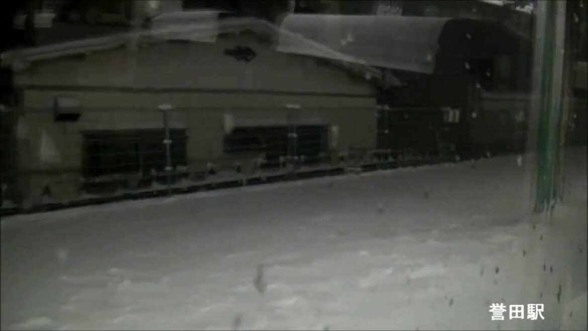 【JR東日本】特急「新宿わかしお」大雪で遅延・大原駅→蘇我駅