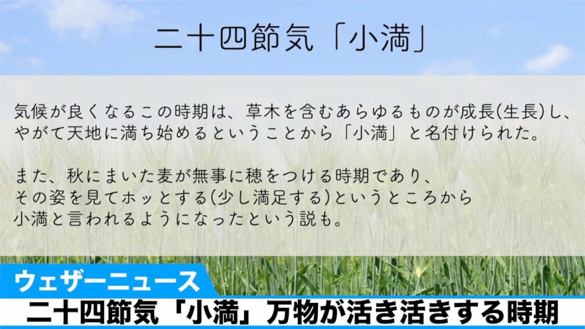 二十四節気「小満」万物が活き活きする時期