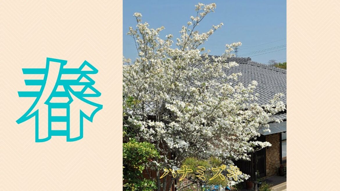 二十四節気は一年のテンプレート