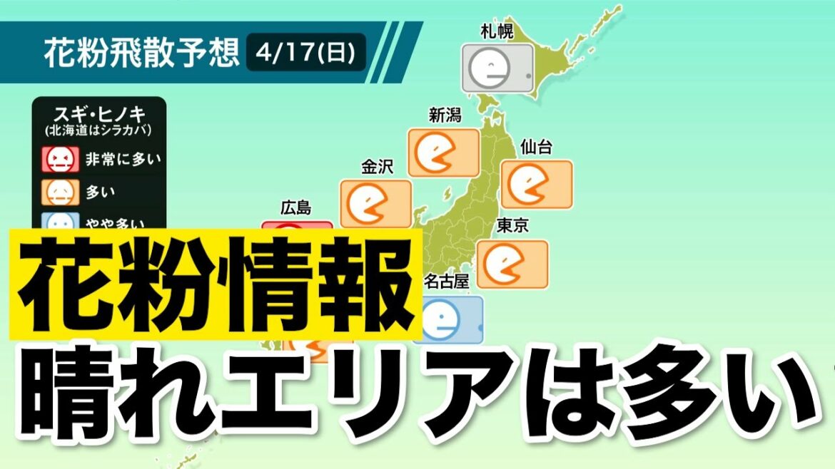 今日の花粉情報／晴れエリアは花粉"多い" 2022年4月17日(日)