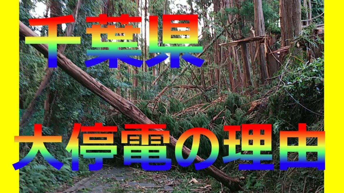 千葉県の大停電が長期化している理由