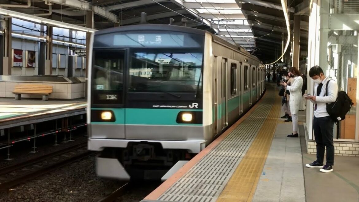 小田急線 回送 本厚木駅 通過（JR E233系2000番台マト12編成）
