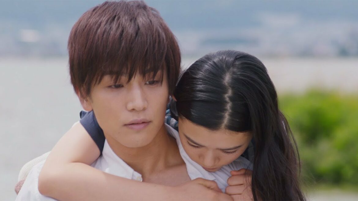 岩田剛典、車椅子姿で切ないせりふ、杉咲花からバックハグも　映画「パーフェクトワールド」特報公開