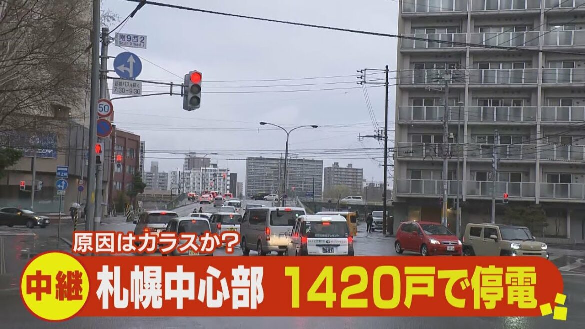 札幌市中央区の住宅街で停電　カラスがハンガー引っ掛けた？