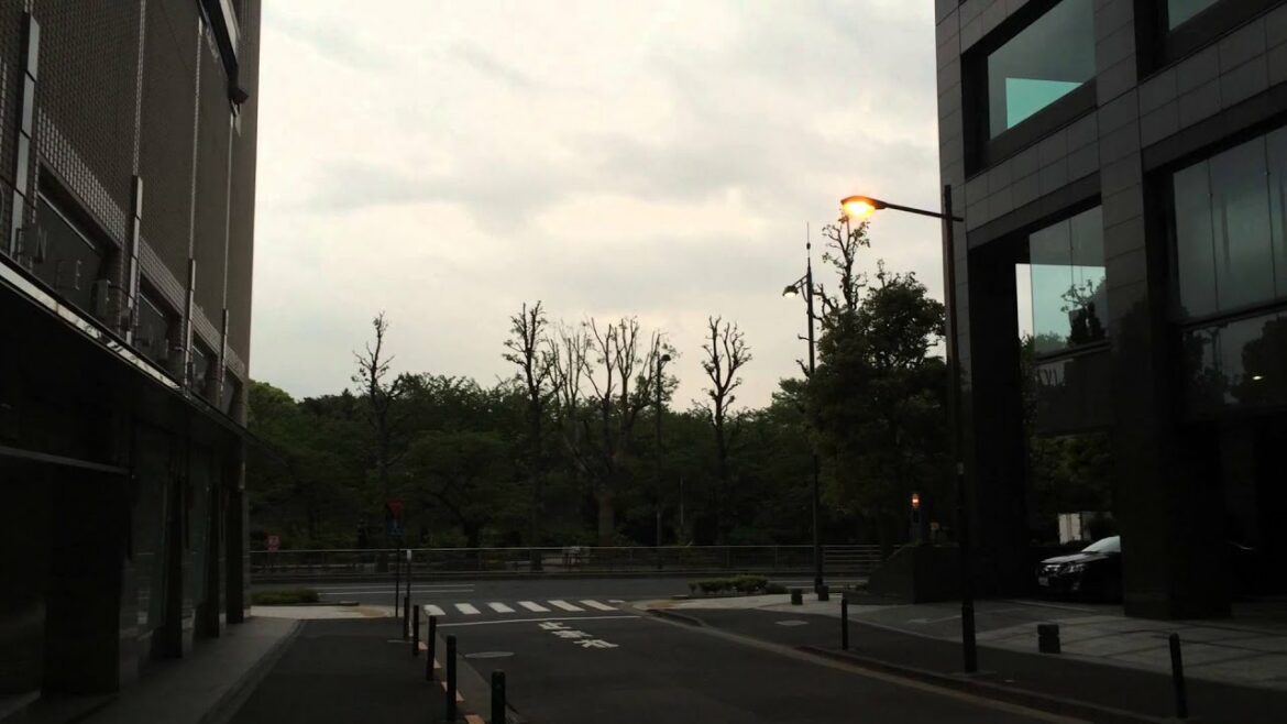 東京都心で震度５弱　最大震度千代田区ではその時