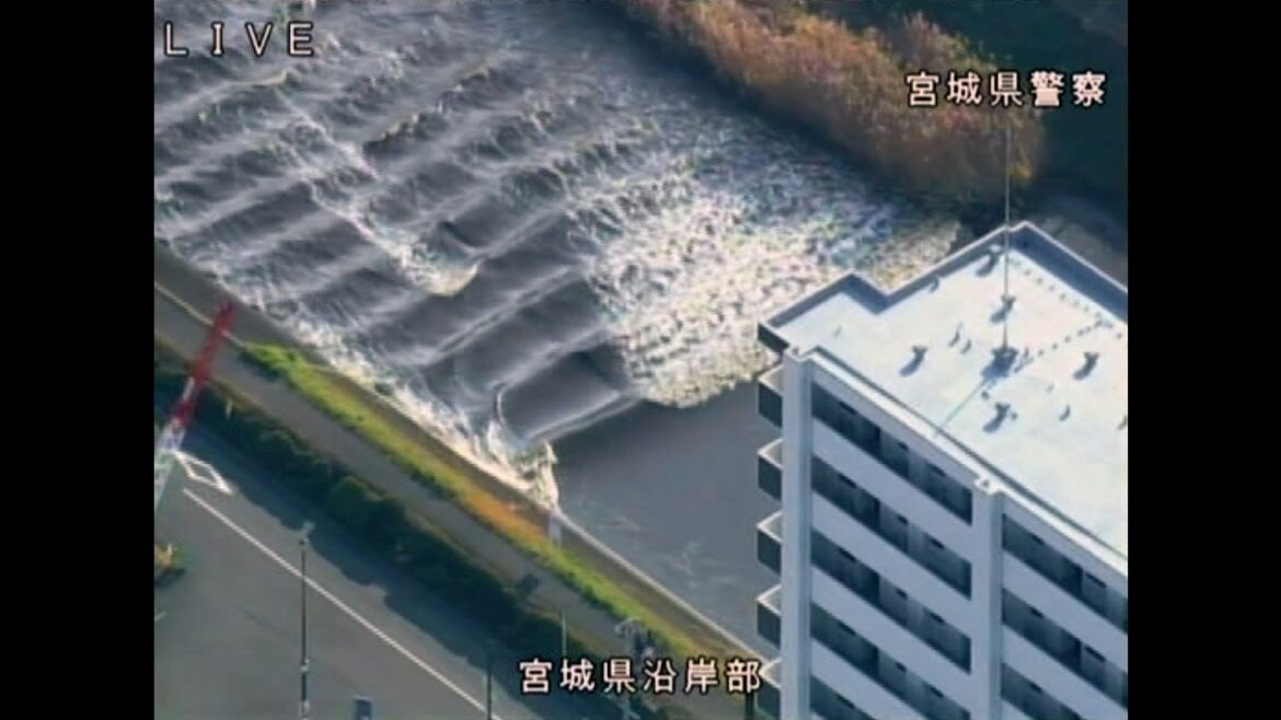 津波、川をさかのぼる　宮城・多賀城市の砂押川  TSUNAMI  Tagajyo,Miyagi