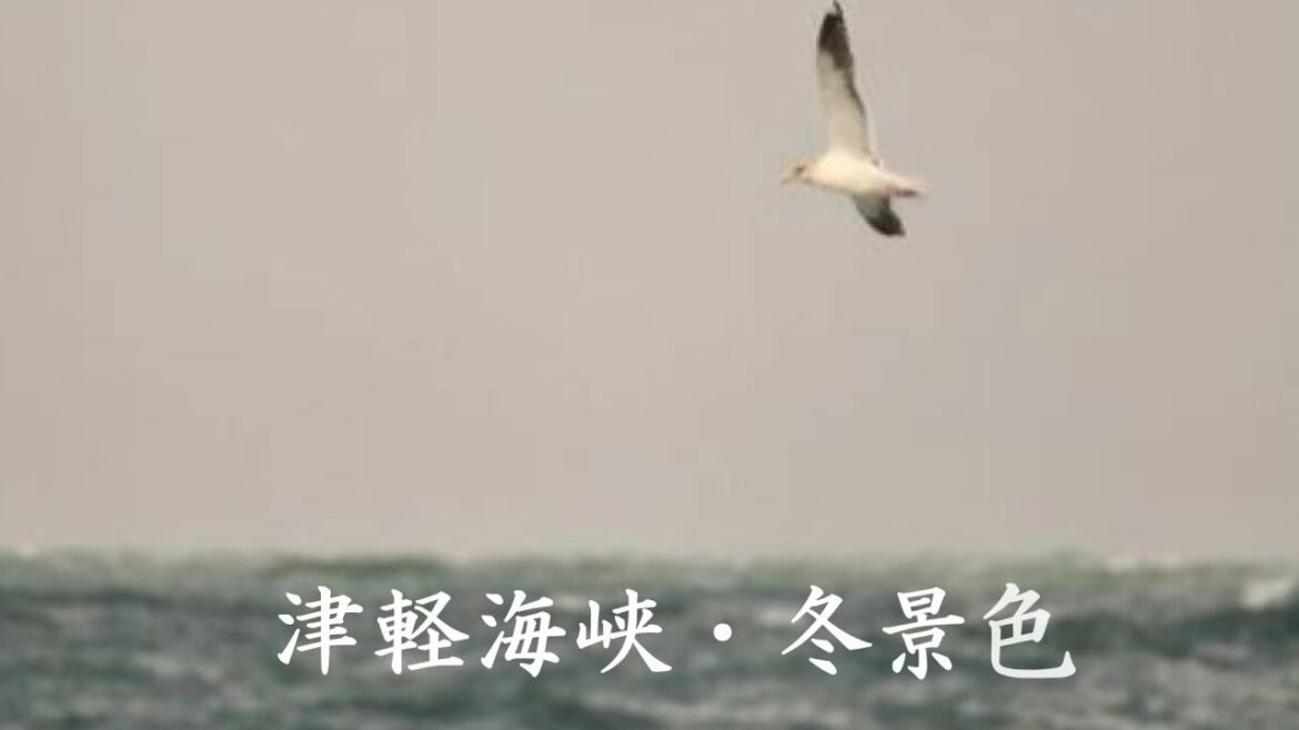 津軽海峡・冬景色　石川さゆり