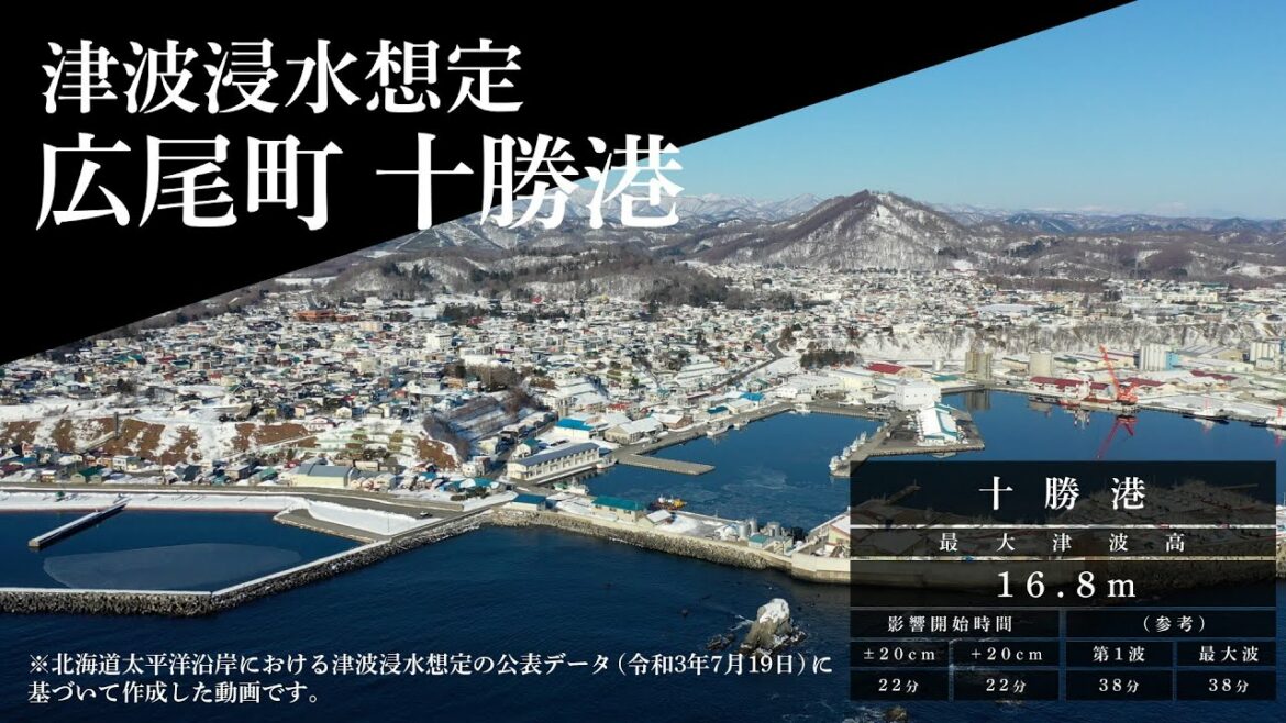 超巨大地震の備え～広尾編～　想定津波動画