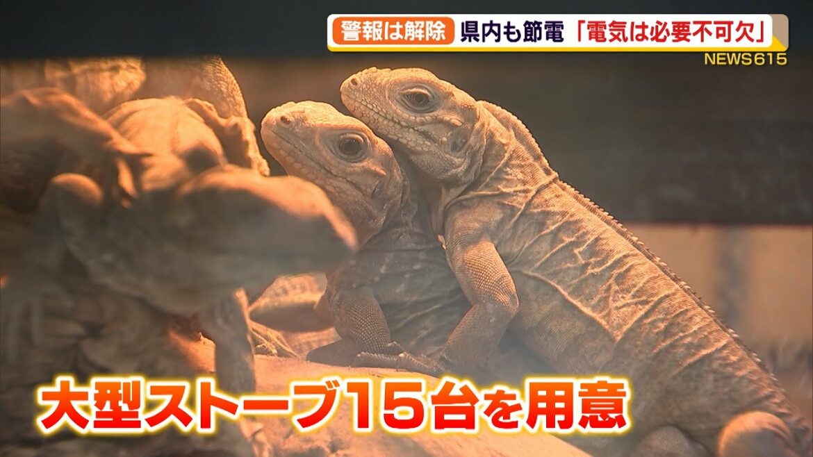 電力需給ひっ迫警報 節電呼びかけで電気が必要不可欠な施設では（静岡県）