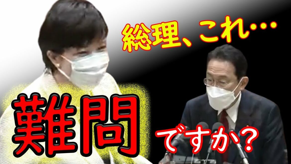 高市早苗、国会で岸田総理に「難しい問題」について質疑！