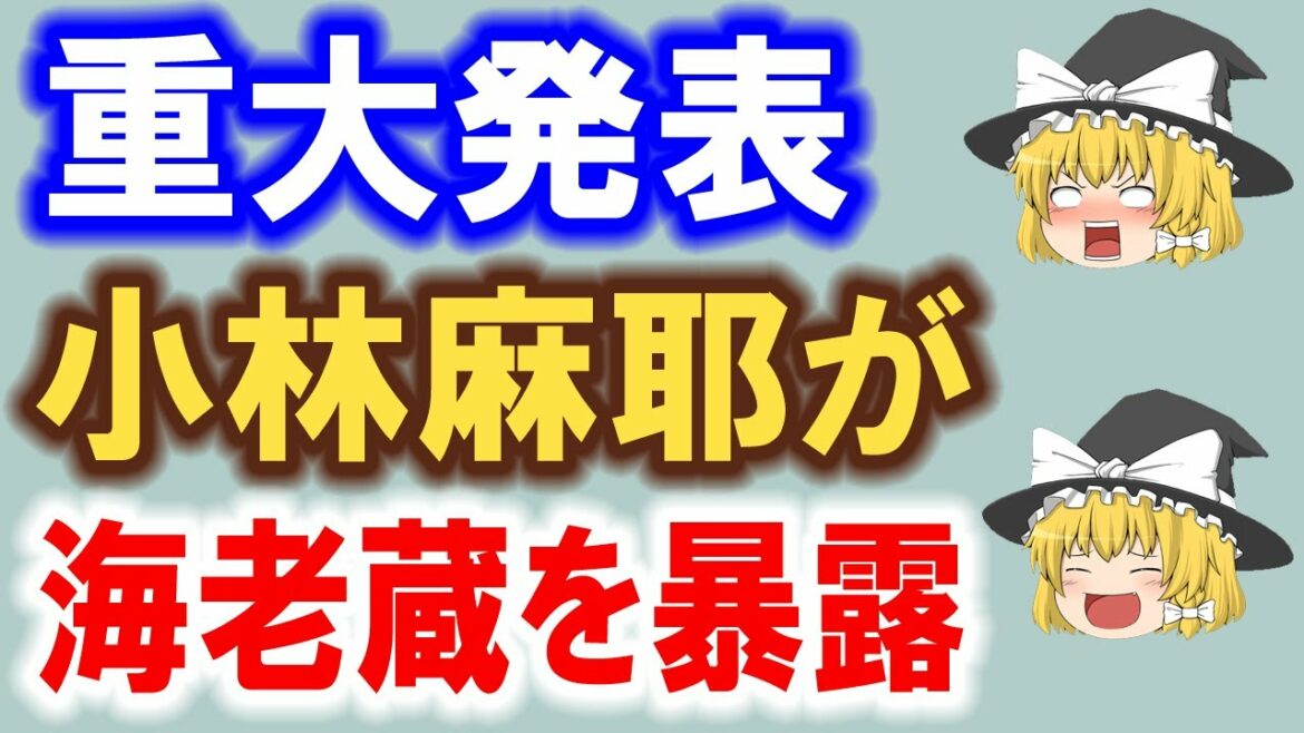 小林麻耶さんの暴露がヤバい…市川海老蔵の様子に一同驚愕！？涙が止まらない… 784