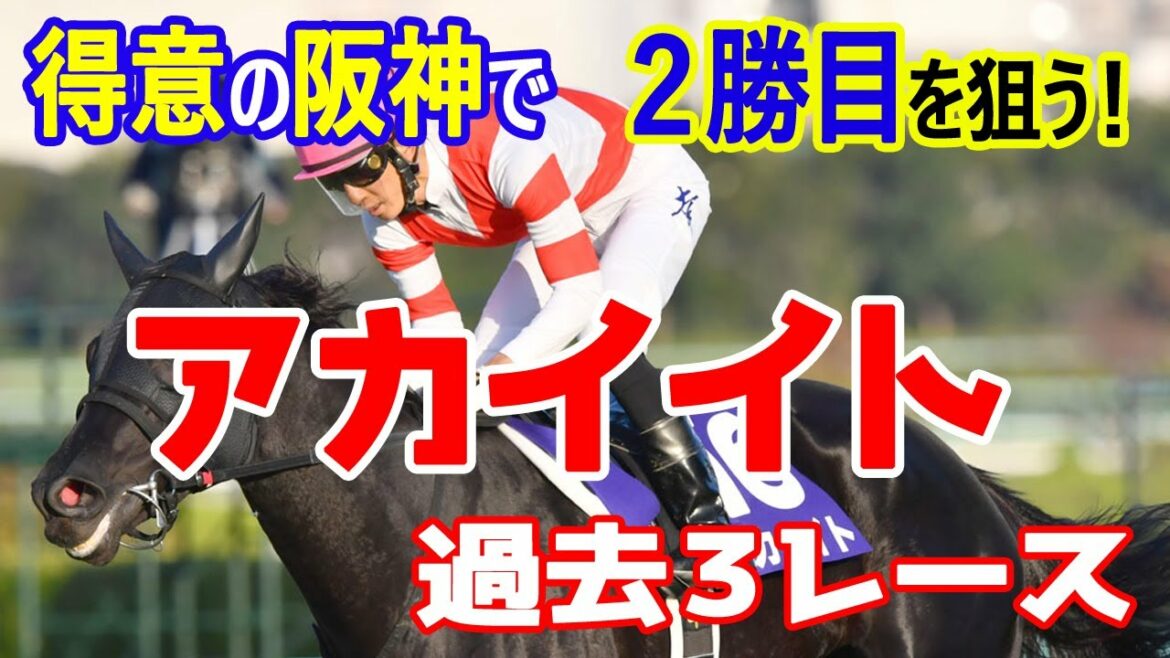 アカイイト 過去3レース集【大阪杯参考】