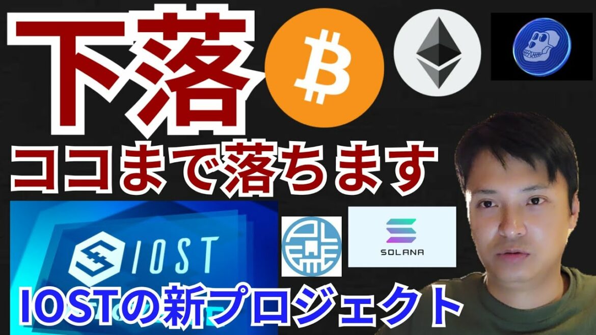 仮想通貨、ココまで下落⁉️IOSTの新プロジェクト✨ニュース + BTC ETH IOST APE SOL 相場分析