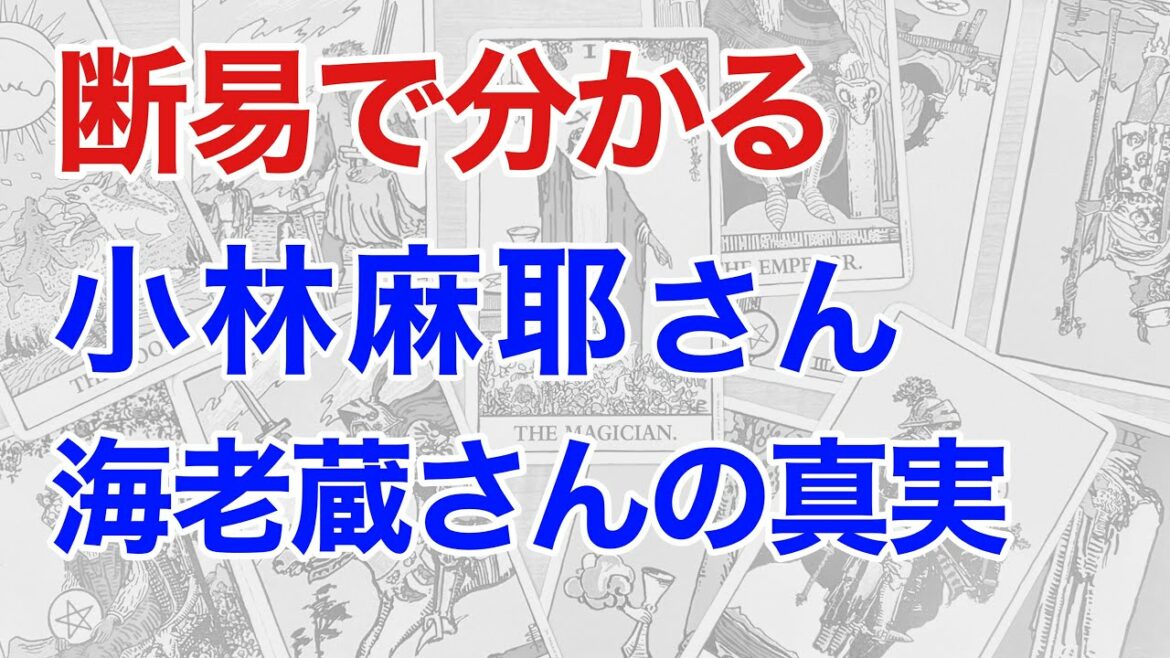 断易ならここまでわかる！小林麻耶さんが話す海老蔵さんとのトラブルの真相（断易）