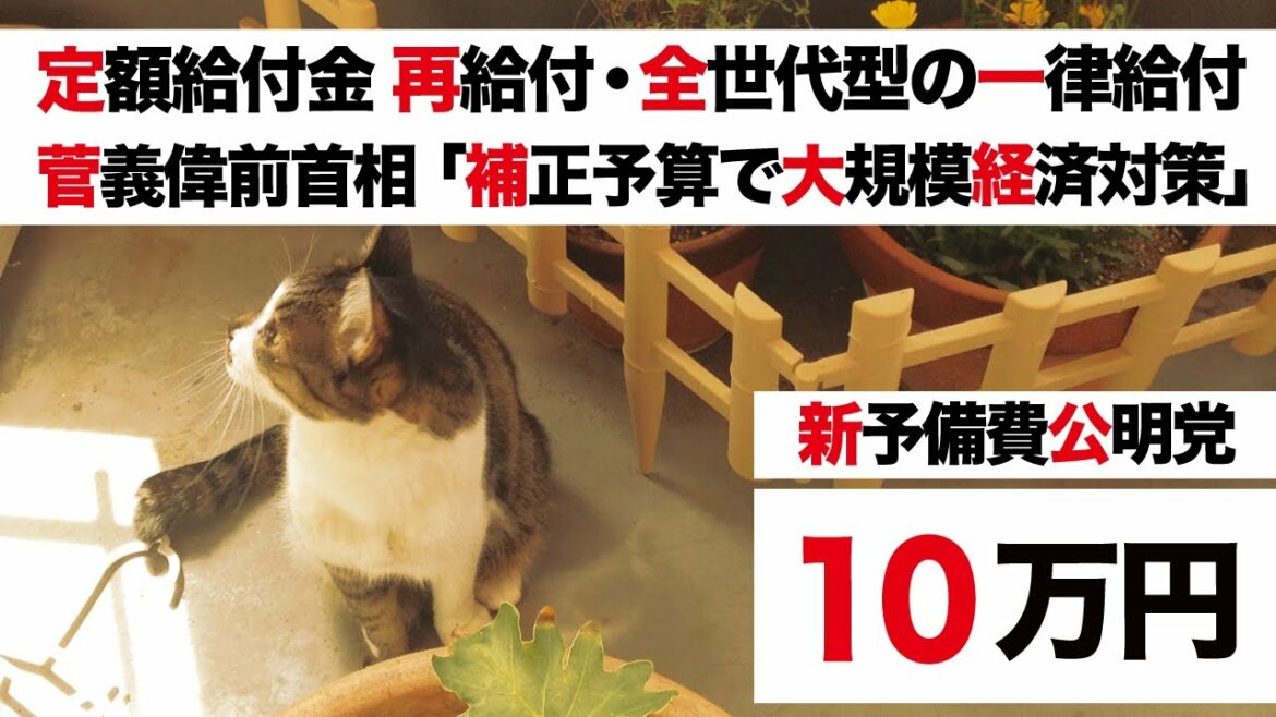 【特別定額給付金 再給付・全世代型 一律給付】菅義偉前首相「補正予算含めた大規模経済対策を」公明党 山口那津男代表「新・予備費」【高市早苗 岸田政権】
