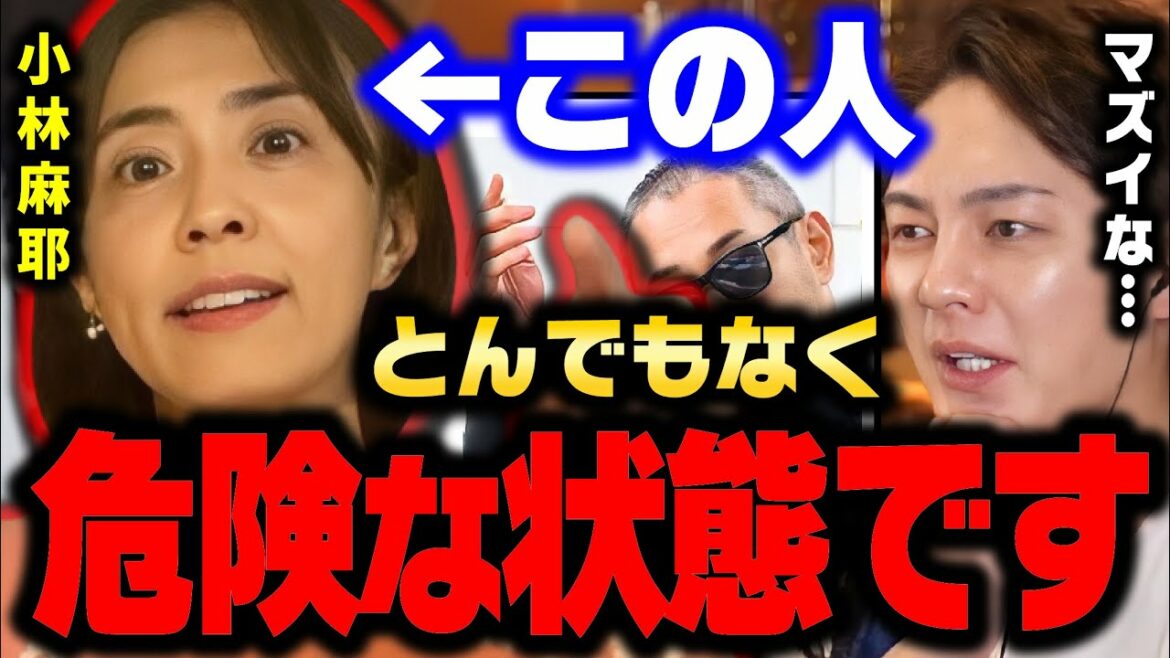 【小林麻耶】このままだと●●するかもね…ガーシーさんの戦略かも…市川海老蔵のプライベートを暴露した小林麻耶が危険な状態に。【青汁王子/切り抜き　小林真央　東谷義和　國光吟】