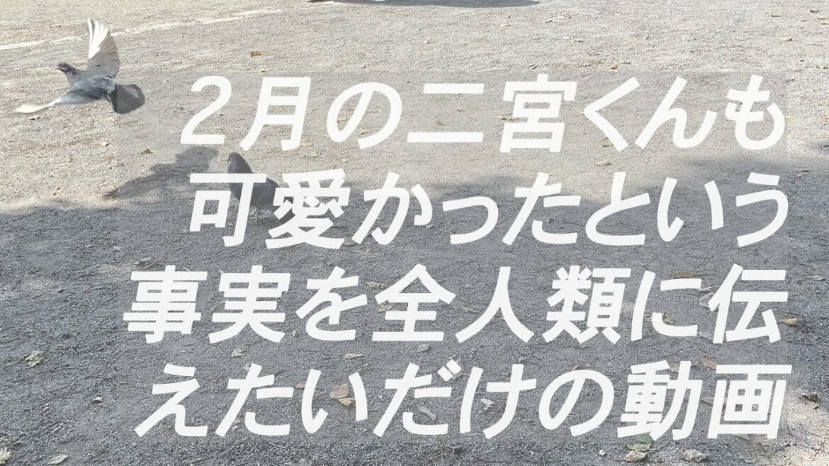 2月も可愛い二宮和也|ジャニヲタの俺的推しキャワ速報|推し活 2月も可愛い二宮和也|ジャニヲタの俺的推しキャワ速報|推し活