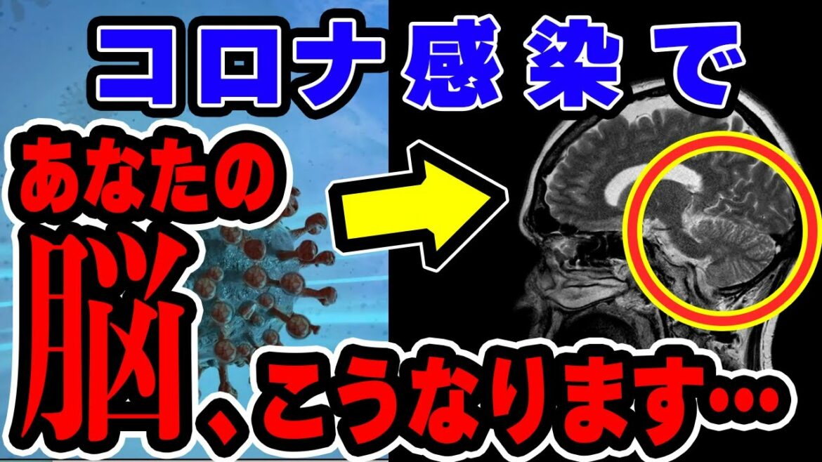 【海外の反応】衝撃!!コロナウイルスが脳のある機能を低下させることが50万人の追跡データで見事に判明