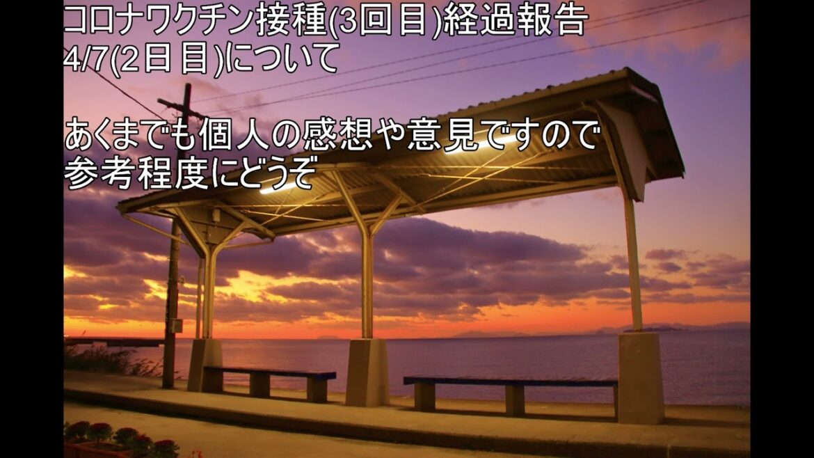 新型コロナウイルスワクチン(ファイザー)を接種してみての経過報告　～ファイザーワクチン 3回目 2日目の経過～