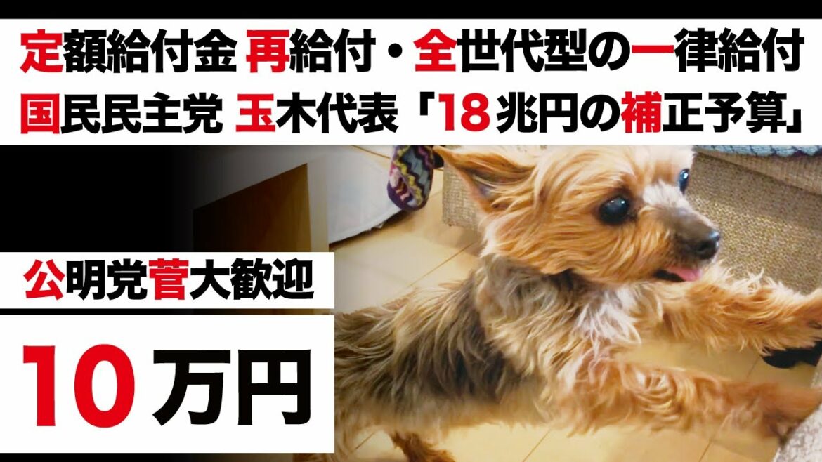 【特別定額給付金 再給付・全世代型 一律給付】岸田総理「GDPギャップ27兆円」公明党 山口那津男代表「菅元総理 大歓迎」国民民主党 玉木代表「補正予算18兆円」【高市早苗】