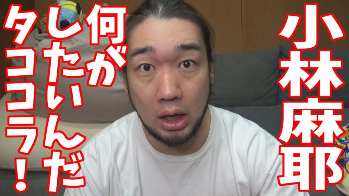 マヤ、コラ、タココラ！！