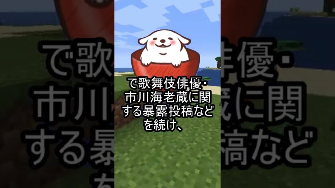 小林麻耶さんの暴露がヤバい…市川海老蔵の様子が衝撃すぎる… 449