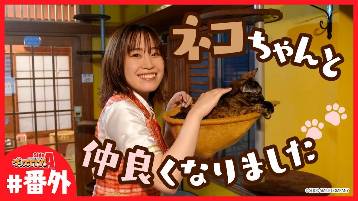 【#Twitter夏祭り】猫カフェ行ったら笑顔になった♡【グッスマTV!】鈴木みのり 【#Twitter夏祭り】猫カフェ行ったら笑顔になった♡【グッスマTV!】鈴木みのり