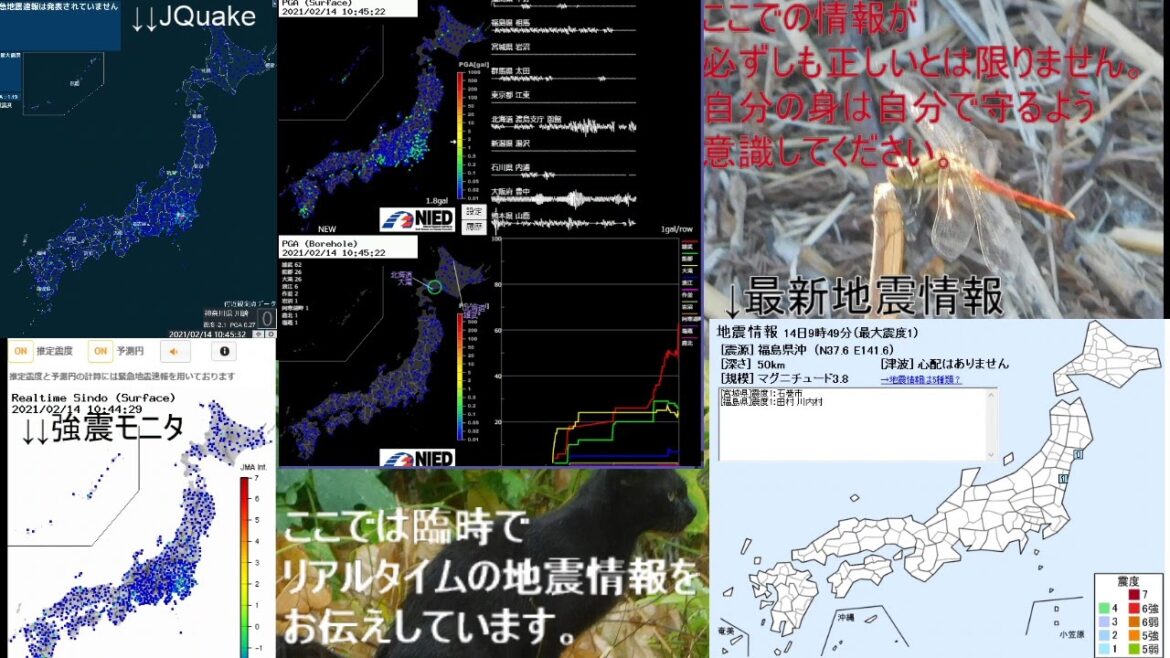 リアルタイム地震情報