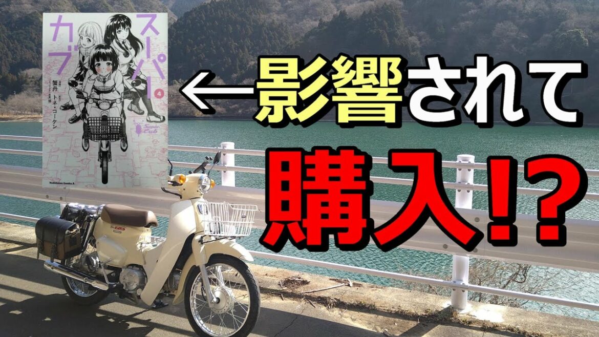 【スーパーカブ110】アニメ、スーパーカブに影響された!?　【カブトーク】【雑談】【モトブログ】【Super Cub】