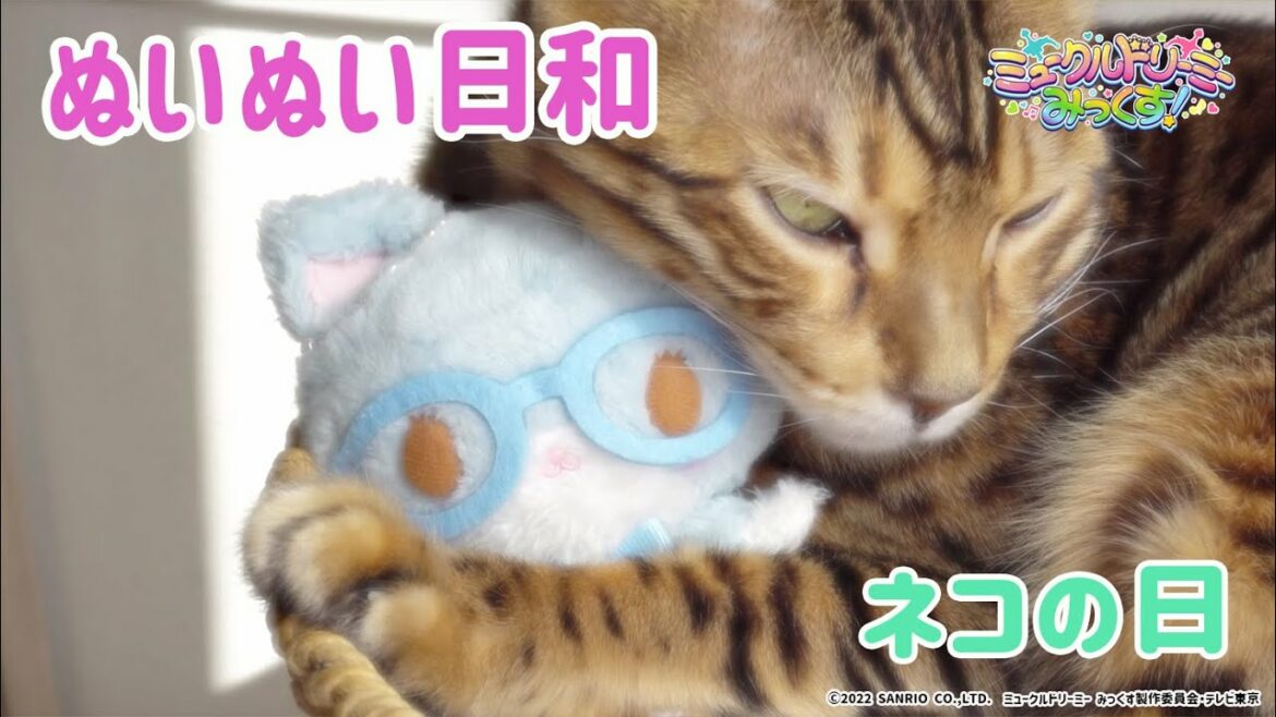 ぬいぬい日和～ネコ～＜ミュークルドリーミー みっくす！＞