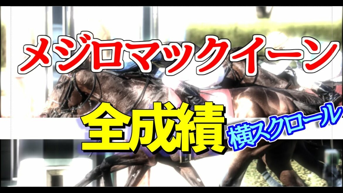 【名馬】メジロマックイーン生涯成績 横スクロール JRA 競馬 レース結果