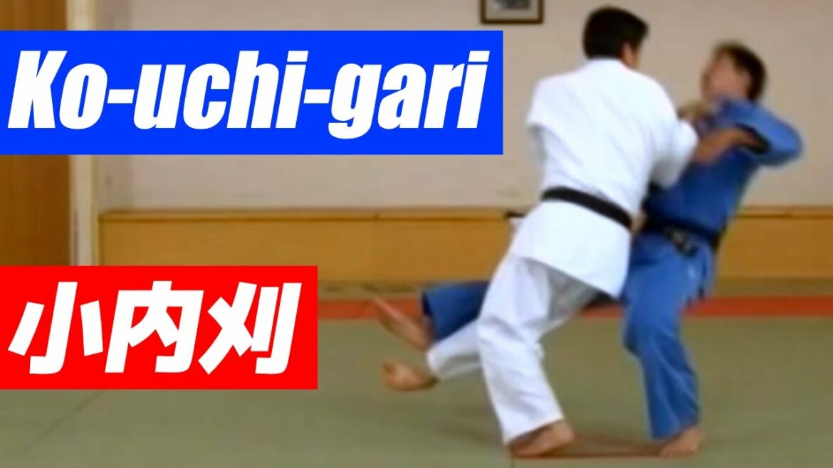Toshihiko Koga teaches Ko-uchi-gari method [English subtitles] 古賀稔彦が教える小内刈【#13】JUDO