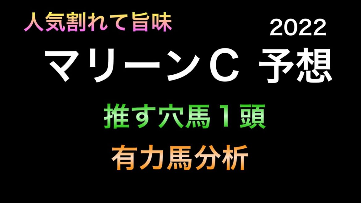 【競馬予想】 地方交流重賞 マリーンカップ 2022 予想