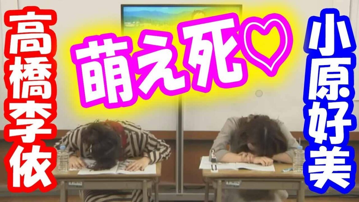 【キュン死】高橋李依「匂い嗅いでた///」小原好美「しかもイイ匂い♡」自ら演じるヒロインのあざと過ぎる攻撃に大興奮しキュンキュンするりえりーとここちゃんに我々はキュンキュンしてしまうんだ動画w 【キュン死】高橋李依「匂い嗅いでた///」小原好美「しかもイイ匂い♡」自ら演じるヒロインのあざと過ぎる攻撃に大興奮しキュンキュンするりえりーとここちゃんに我々はキュンキュンしてしまうんだ動画w