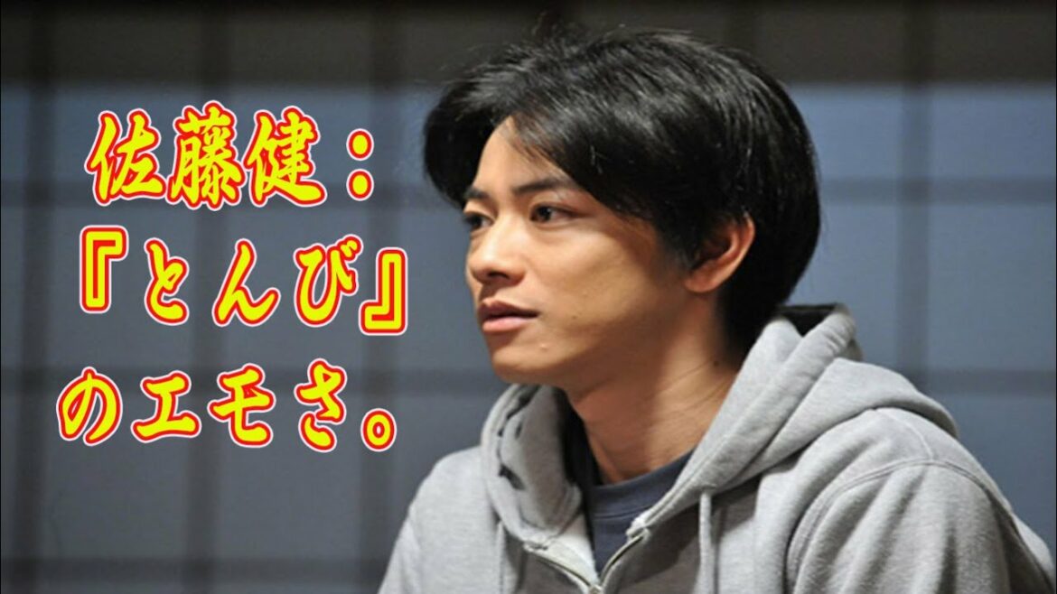 【佐藤健】佐藤健：『とんび』のエモさ。