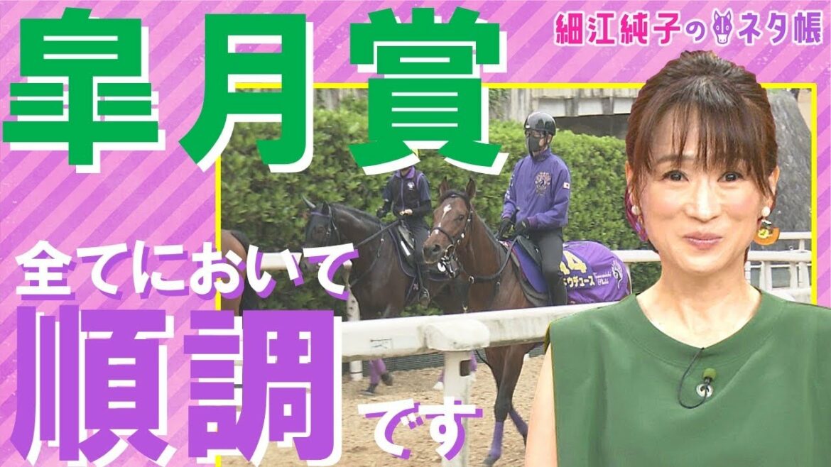 「すべてにおいて順調に来ているのは、この馬」超ハイレベルの皐月賞ここだけの陣営情報【細江純子のネタ帳 #9 《皐月賞》】 「すべてにおいて順調に来ているのは、この馬」超ハイレベルの皐月賞ここだけの陣営情報【細江純子のネタ帳 #9 《皐月賞》】