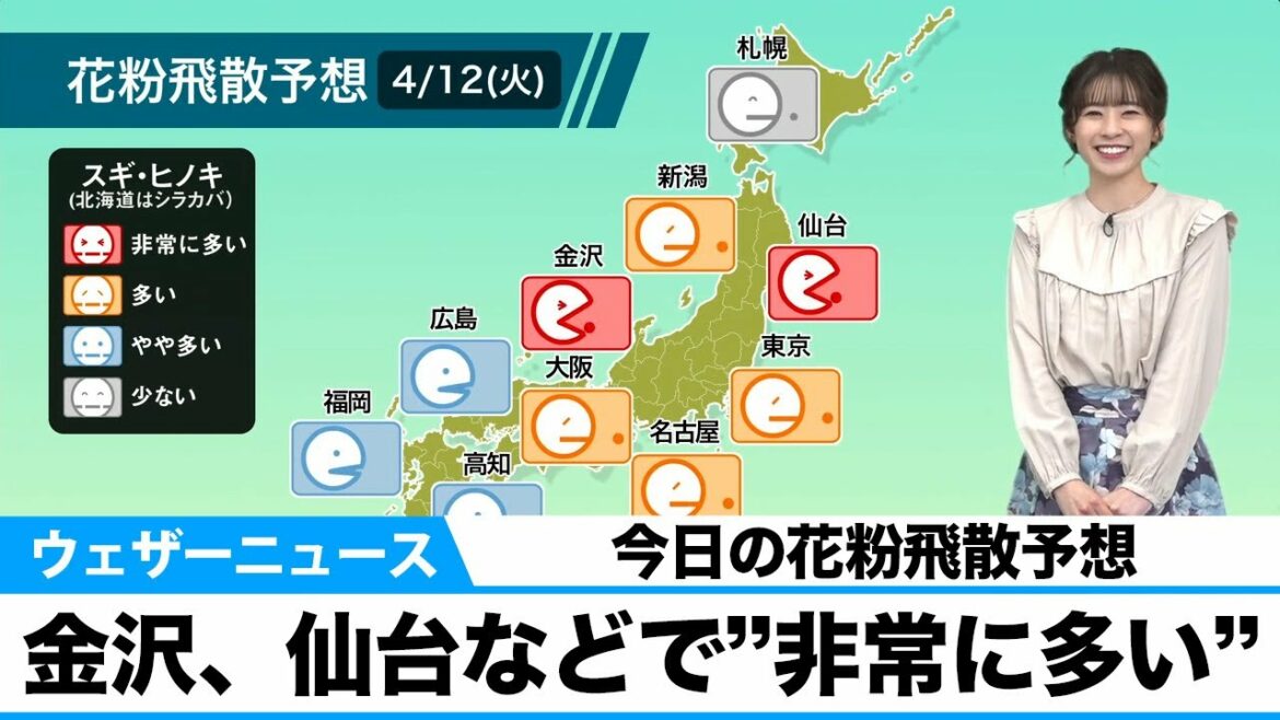 今日の花粉飛散予想 金沢、仙台などで”非常に多い”