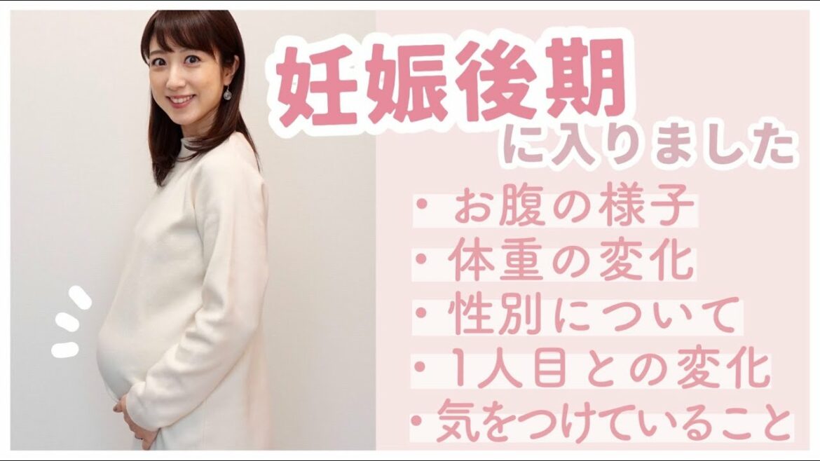 【妊娠後期に入りました】現在の様子、体重や性別についても😊