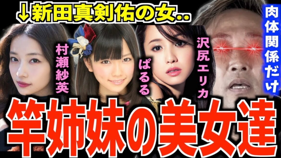 新田真剣佑と沢尻エリカは肉体関係が..元カノは島崎遥香＆元NMB48村瀬紗英＆谷川菜奈【芸能界の裏側/闇】【東谷義和】【切り抜き】