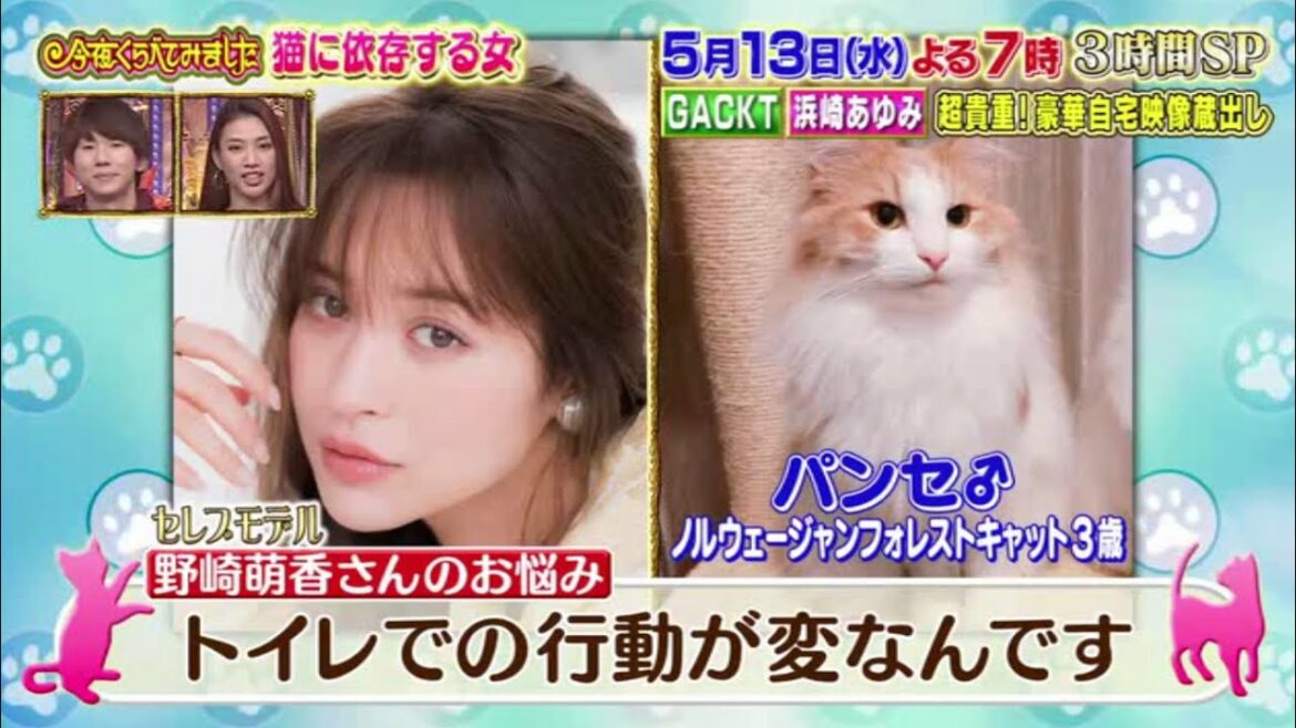 【女が女に怒る夜】野崎萌香さんのお悩みトイレでの行動が変なんです【野崎萌香】【キムラ緑子】【出ロクリスタ】【青山めぐ】【古市憲寿】