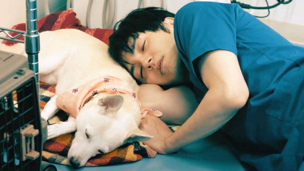 林遣都、犬と一緒にお昼寝 心を通じ合わせた撮影の日々 映画「犬部！メイキング映像